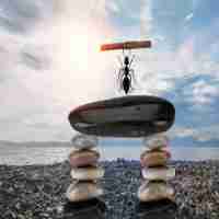 快‍速‍技‍术‍前‌沿‍插‍件‍